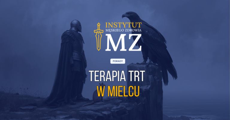 rycerz-stojacy-na-klifie-patrzacy-na-czarnego-orla-symbolizujacego-smiglowiec-black-hawk-produkowany-w-mielcu-szukajacy-terapii-trt-w-mielcu-navy