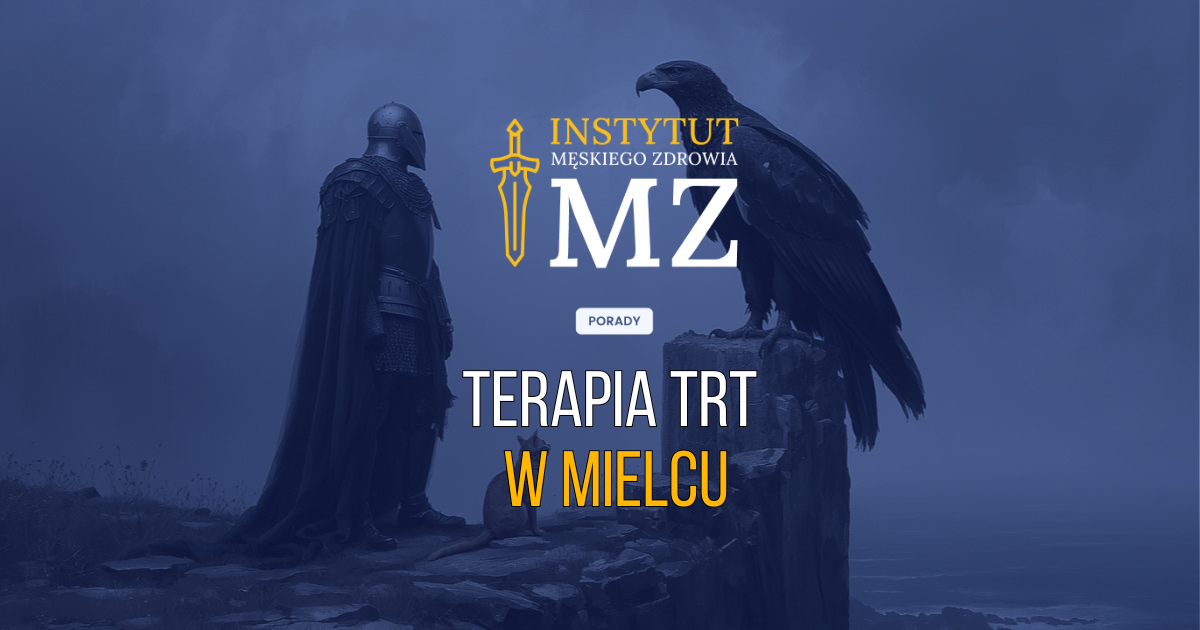 rycerz-stojacy-na-klifie-patrzacy-na-czarnego-orla-symbolizujacego-smiglowiec-black-hawk-produkowany-w-mielcu-szukajacy-terapii-trt-w-mielcu-navy