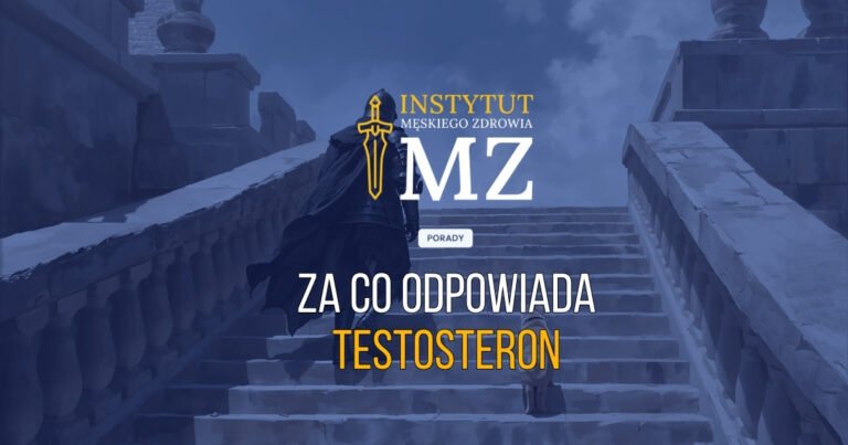 rycerz-idacy-po-schodach-by-dowiedziec-sie-po-co-jest-testosteron-u-mezczyzny-navy