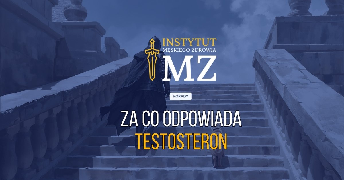 rycerz-idacy-po-schodach-by-dowiedziec-sie-po-co-jest-testosteron-u-mezczyzny-navy